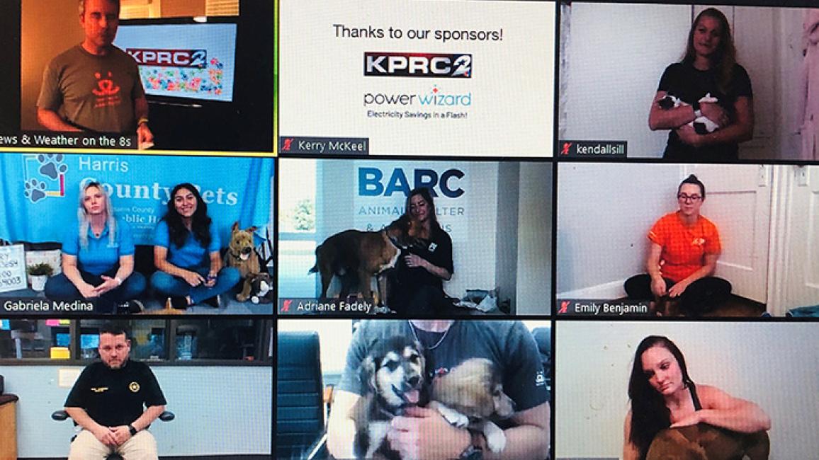 PSA-adoption-event-Houston-virtual-adoption-event-Gallery-Shot-with-sponsors-by-BF-staff.jpg