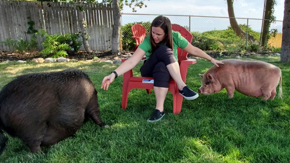 Pig-adoption-Papa-Jennifer-Diesel-courtesy-Jennifer-West.jpg