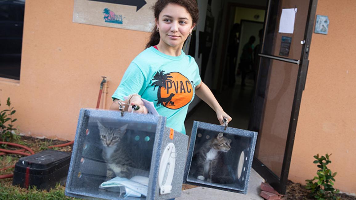 Release-cats-PalmValleyCCPVolunteer7689sak.jpg