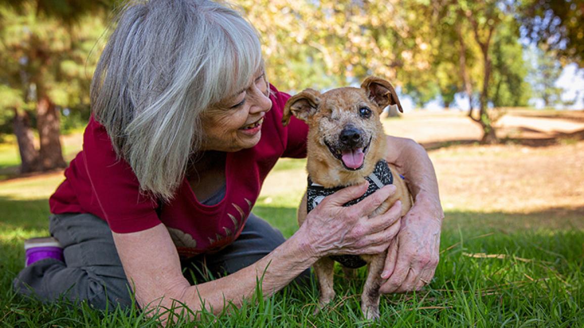 Senior-dog-adoption-LorraineJMinx2140LF.jpg