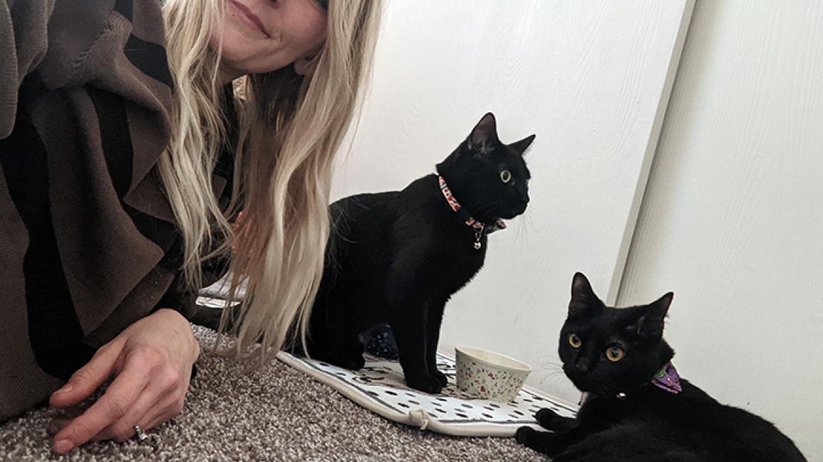 FeLV-kitten-adoption-Caitlyn-Lime-and-Kai-courtesy-Caitlyn-Johnson.jpg