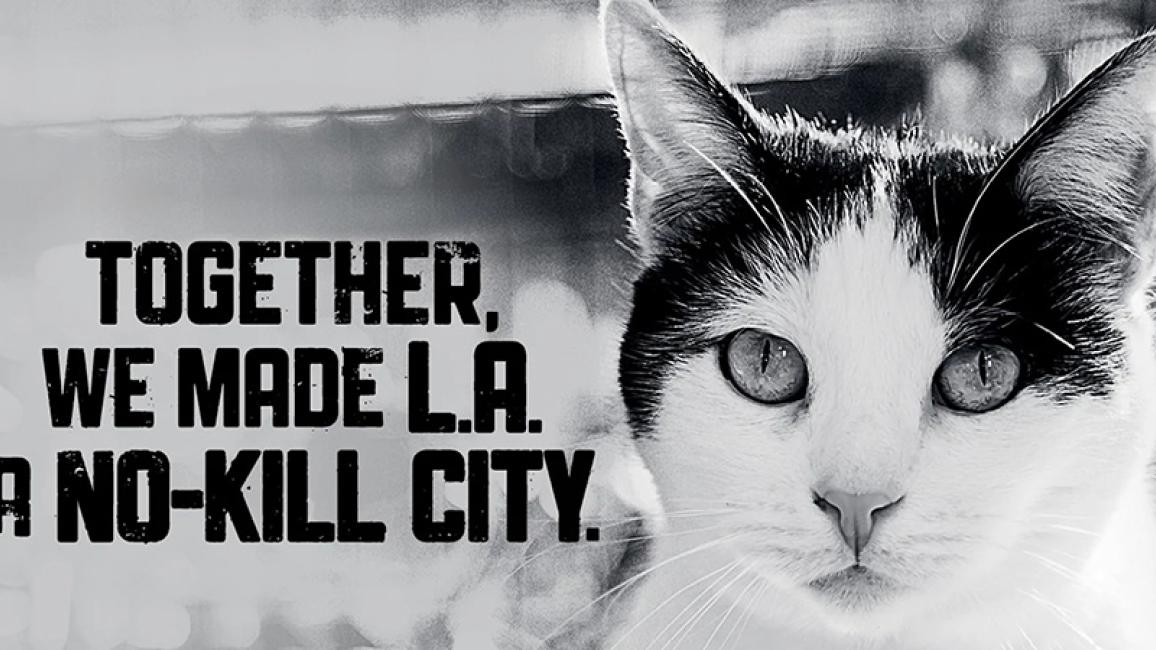 Los Angeles has become no-kill | Best Friends Animal Society