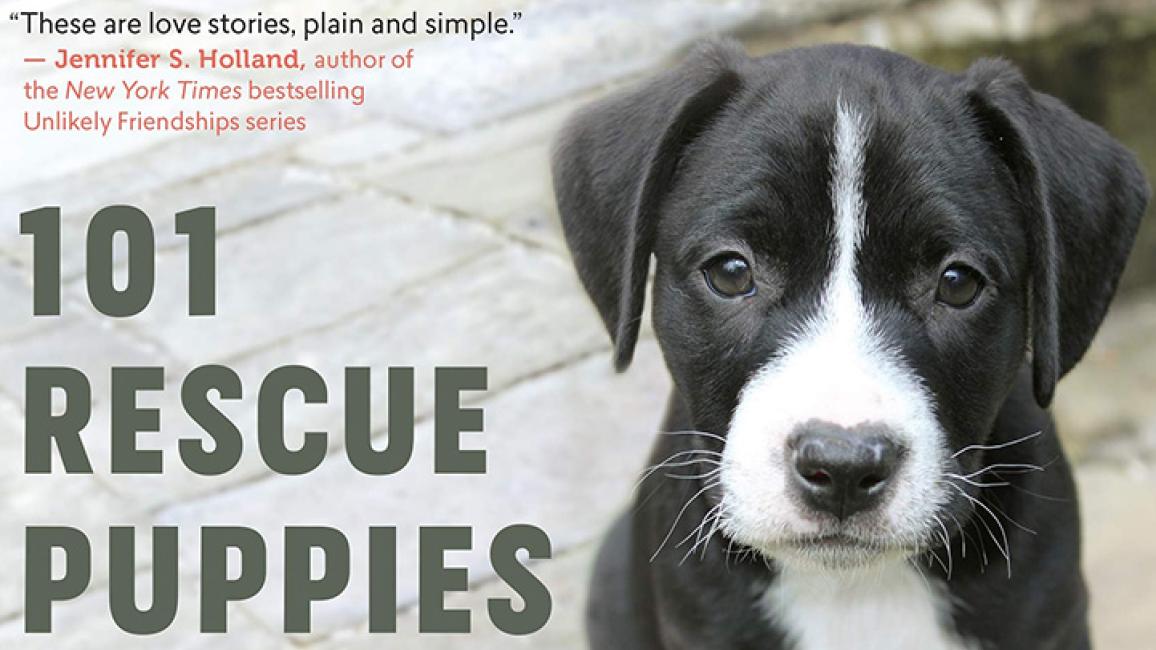 book-cover-101-rescue-puppies-revised.jpg