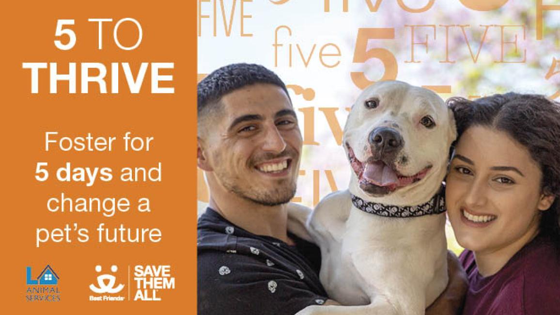 5 to Thrive | Best Friends Animal Society - Save Them All