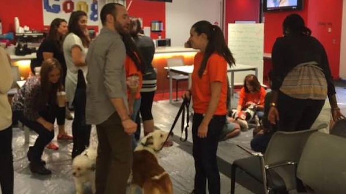 Googlers and Best Friends