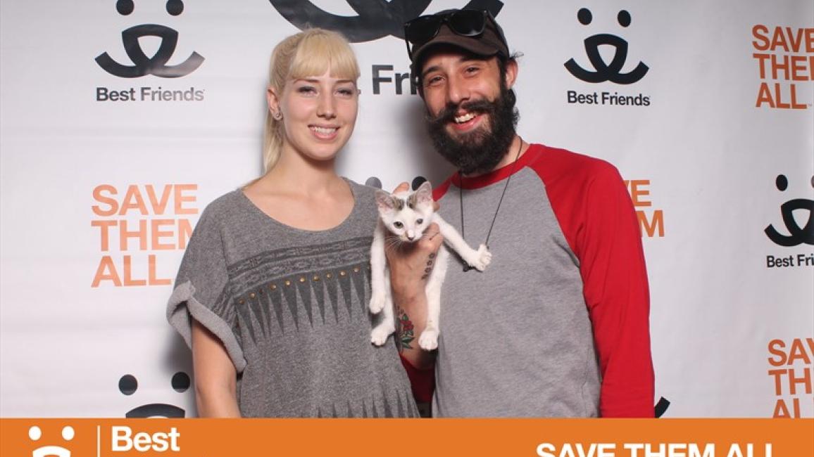 Pop-up adoption event