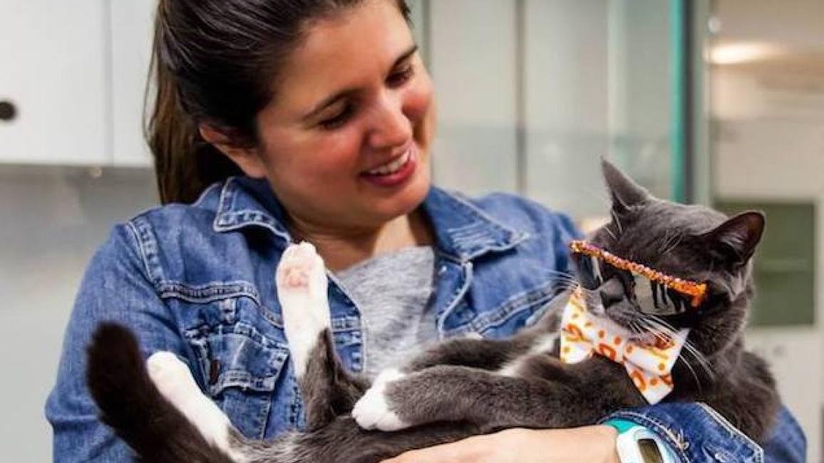 Amy Davila and Sunglasses Cat