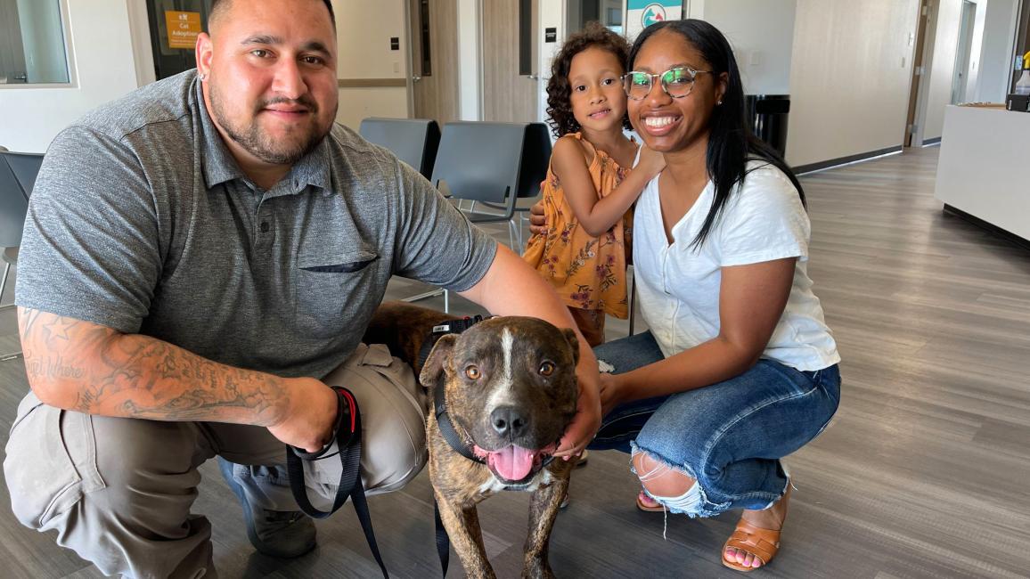 Mac the brindle dog being reunited with is family at Fresno Humane Animal Services
