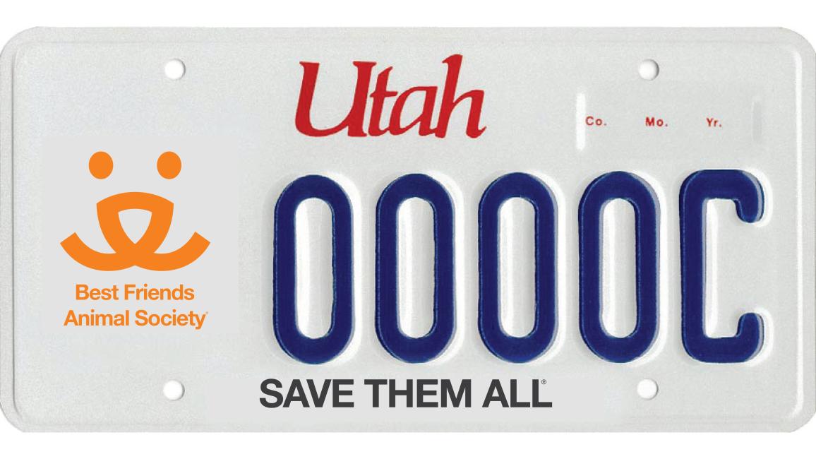 Selenium test image - create