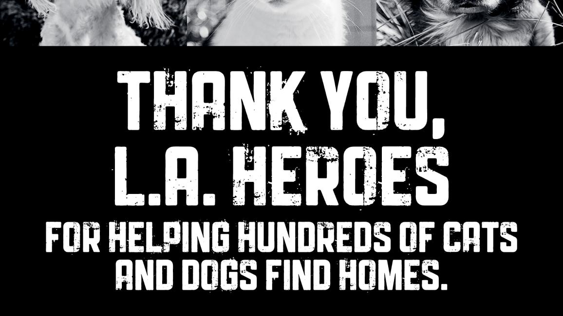 NKLA super adoption