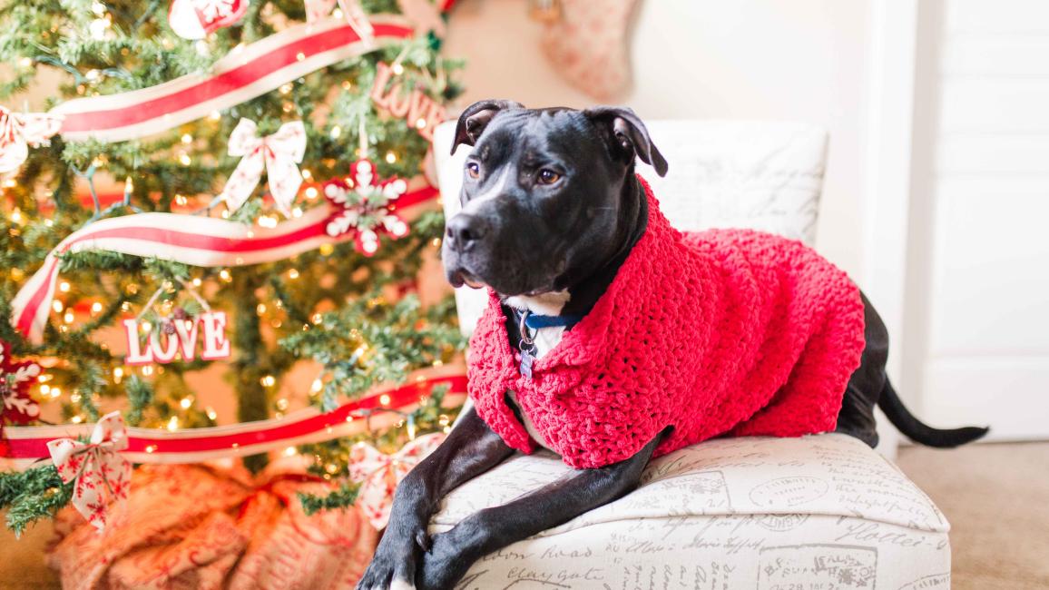 Patrick in foster home