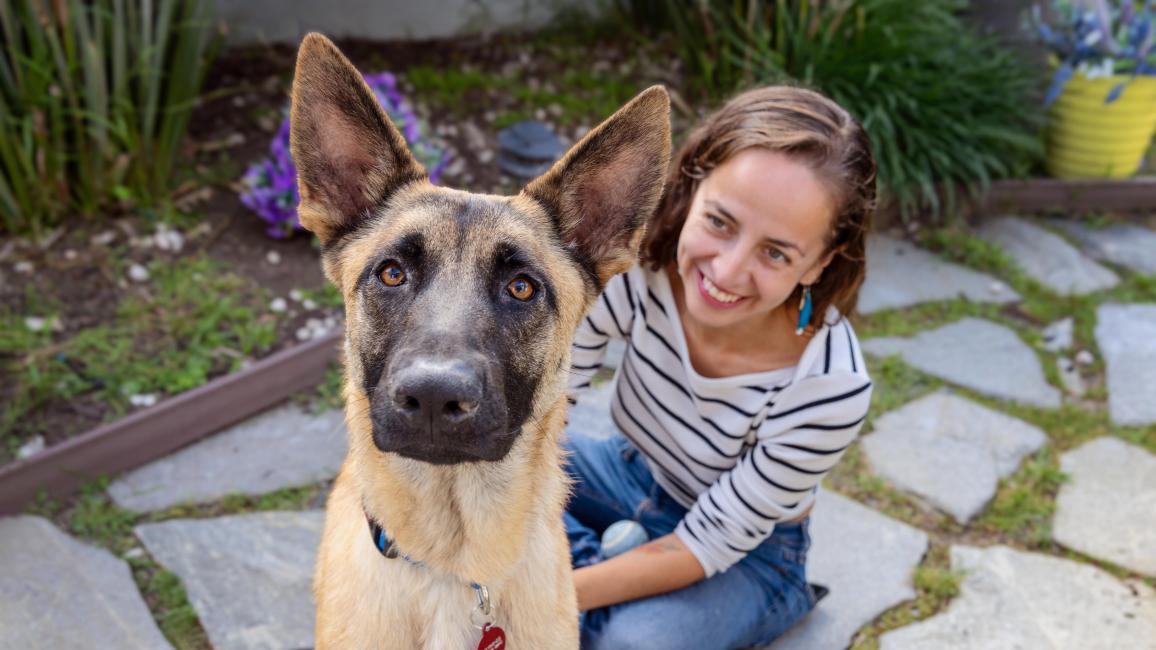 Abraxas the dog outside on pavers with a person sitting behind him