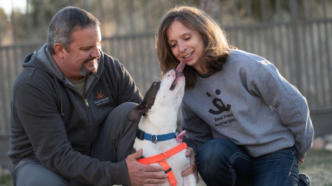 Bella the dog being adopted from Best Friends Animal Sanctuary