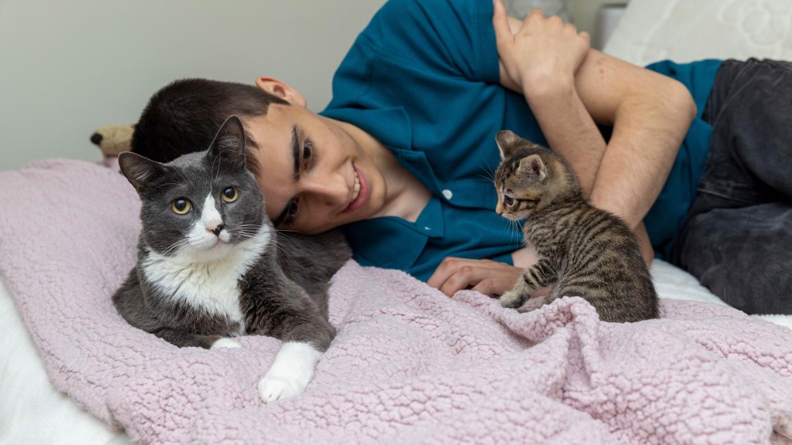 Young person lying down next to a cat and a kitten