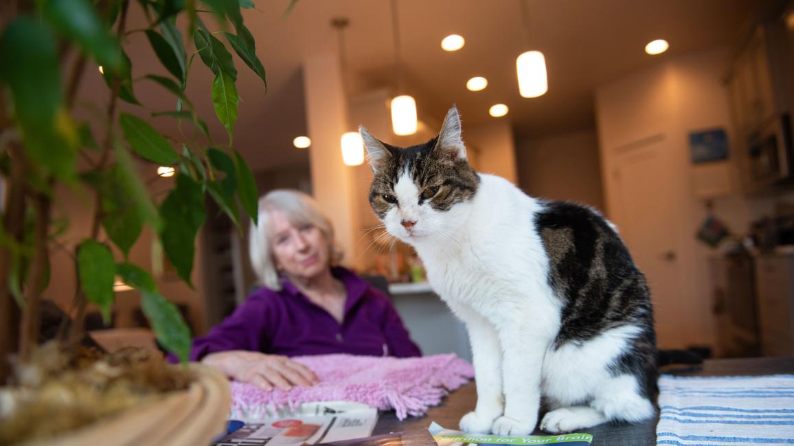 Woodrow the cat with Jane Brodziak in the background