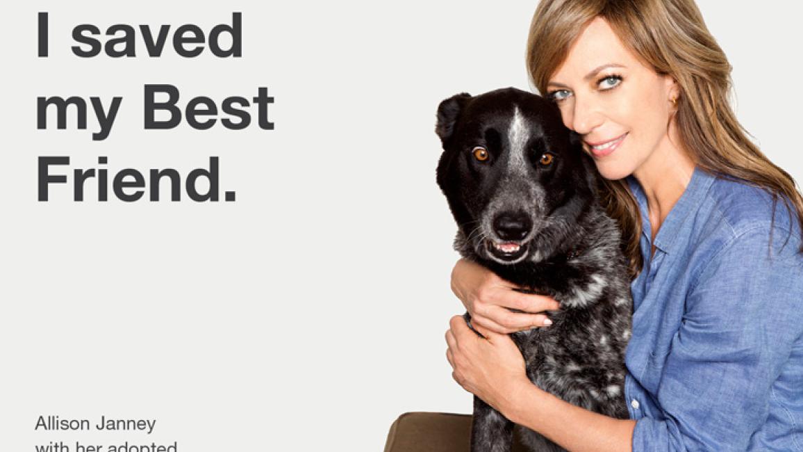 Allison Janney with her adopted dog Addie