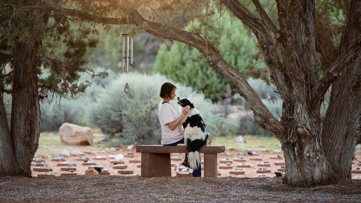 Person sitting on a bench with a dog at Angels Rest under a tree