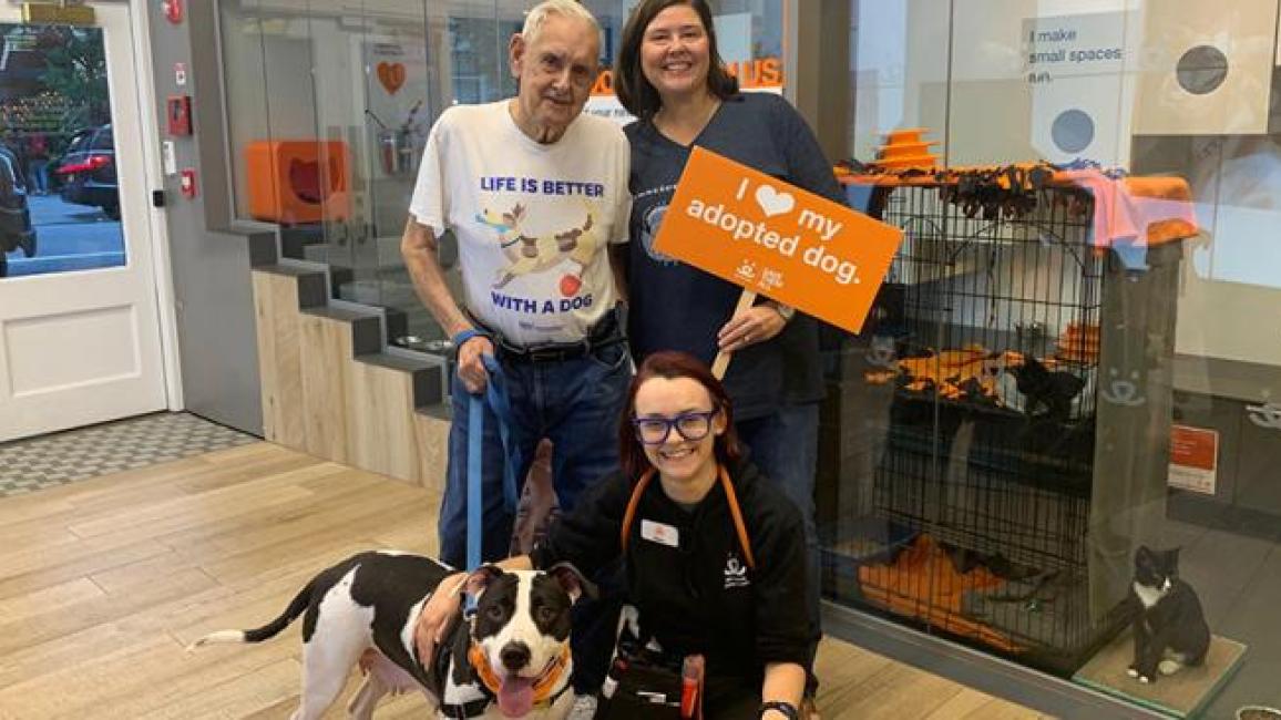 Dallas the dog getting adopted from the Best Friends Lifesaving Center in New York after being featured on Animal Planet