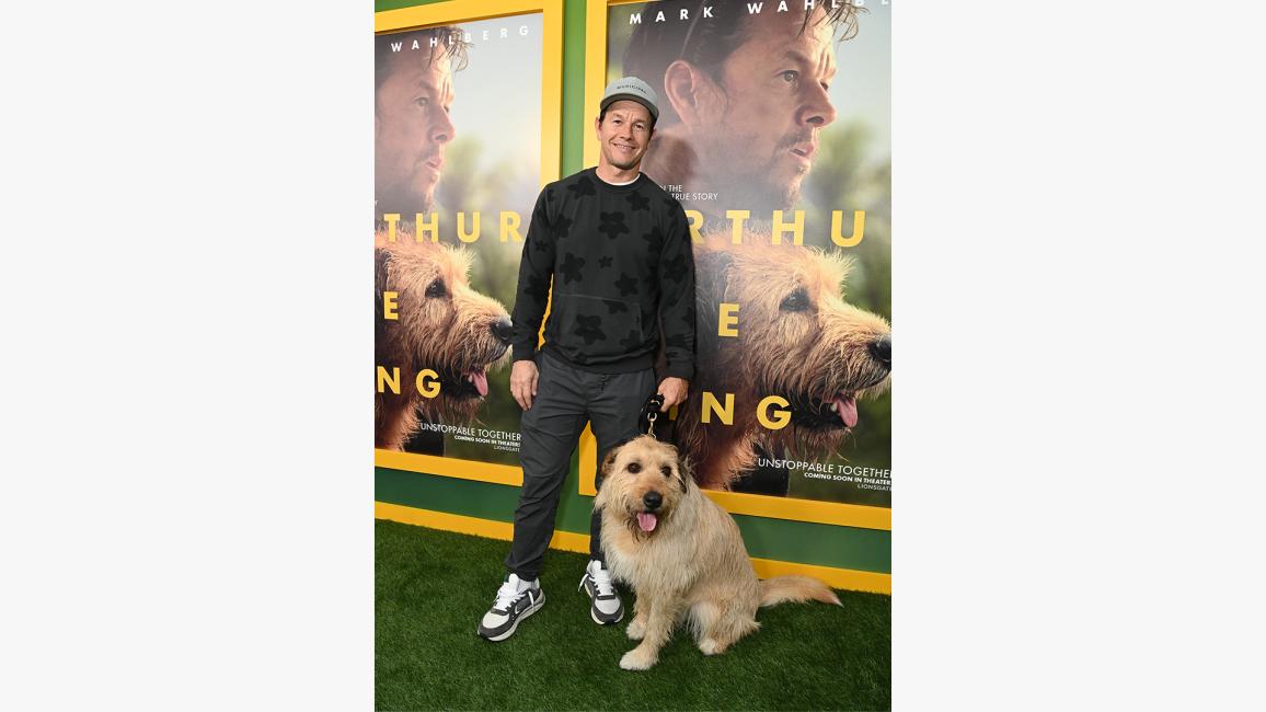 Mark Wahlberg with the dog who is the star in the "Arthur the King" movie at the premier