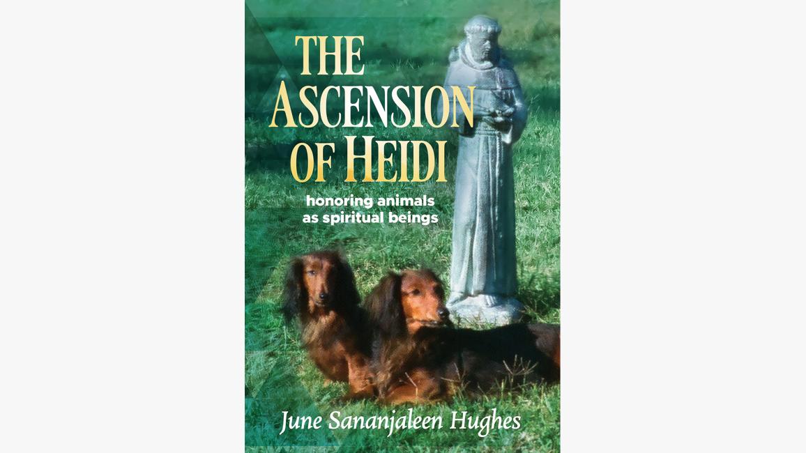 ‘The Ascension of Heidi’ book cover