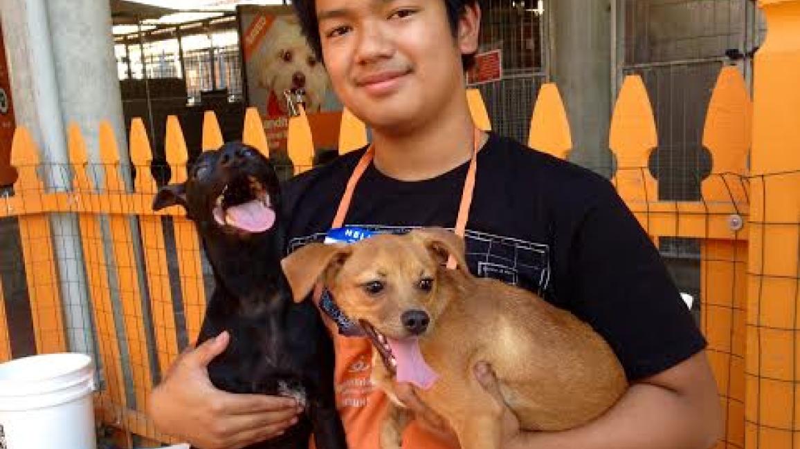 Volunteer Austin Delos Santos holding two small dogs