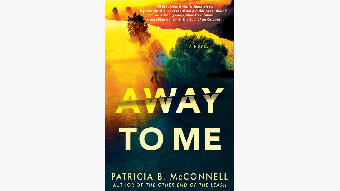 Cover of the book, 'Away to Me'