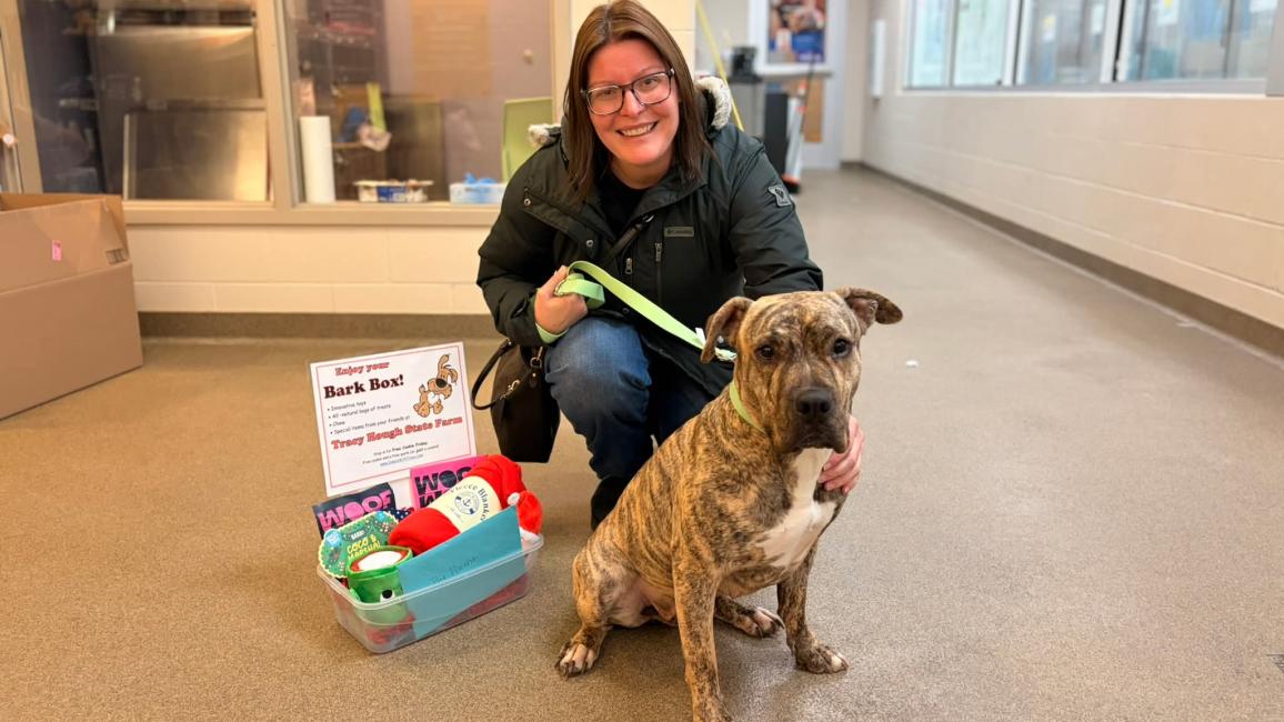 Lucy the dog with a person beside a Bark Box kit of supplies