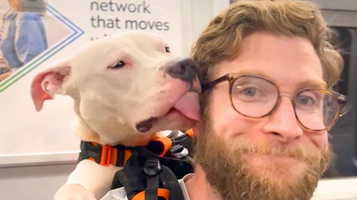 Dog in a backpack kissing the side of Bryan Reisberg's face
