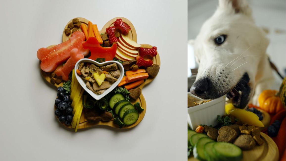 Barkcuterie board collage with a dog eating it