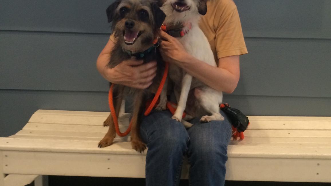 Volunteer Carolyn holding two small dogs