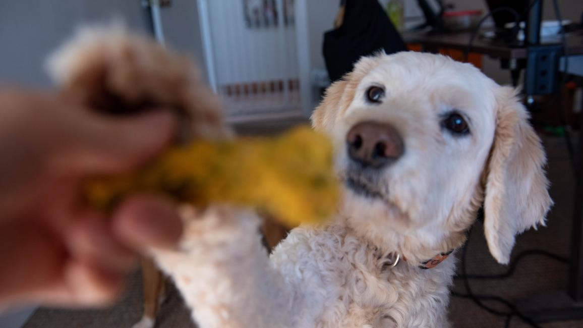 Activities while at home