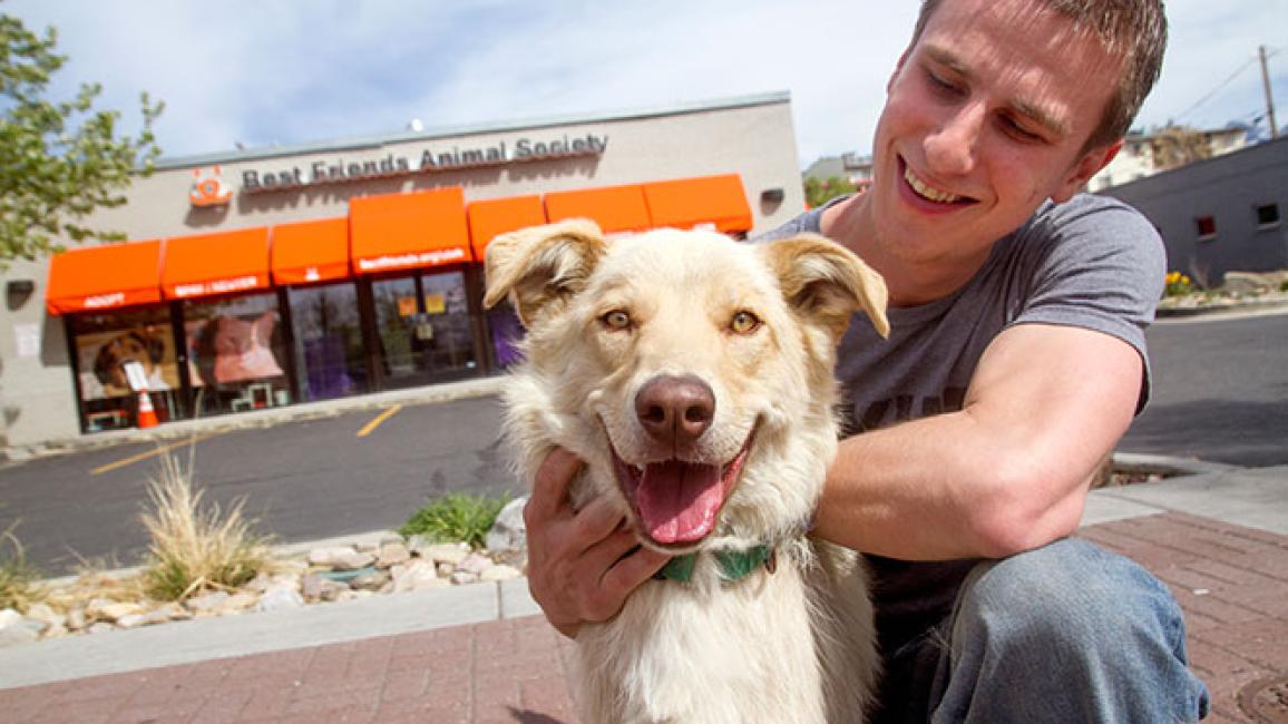 Best Friends named best nonprofit during publication’s anniversary celebration.