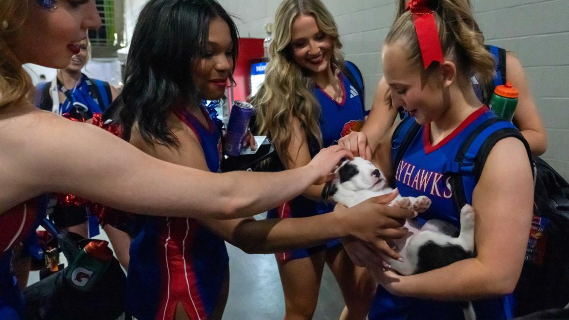 Group of cheerleaders holding a black and white puppy