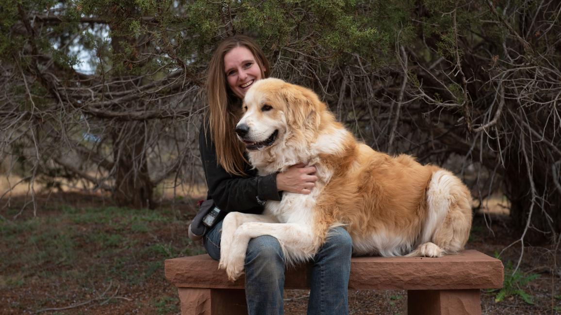 Person sitting on a bench while Bear the dog lies in her lap