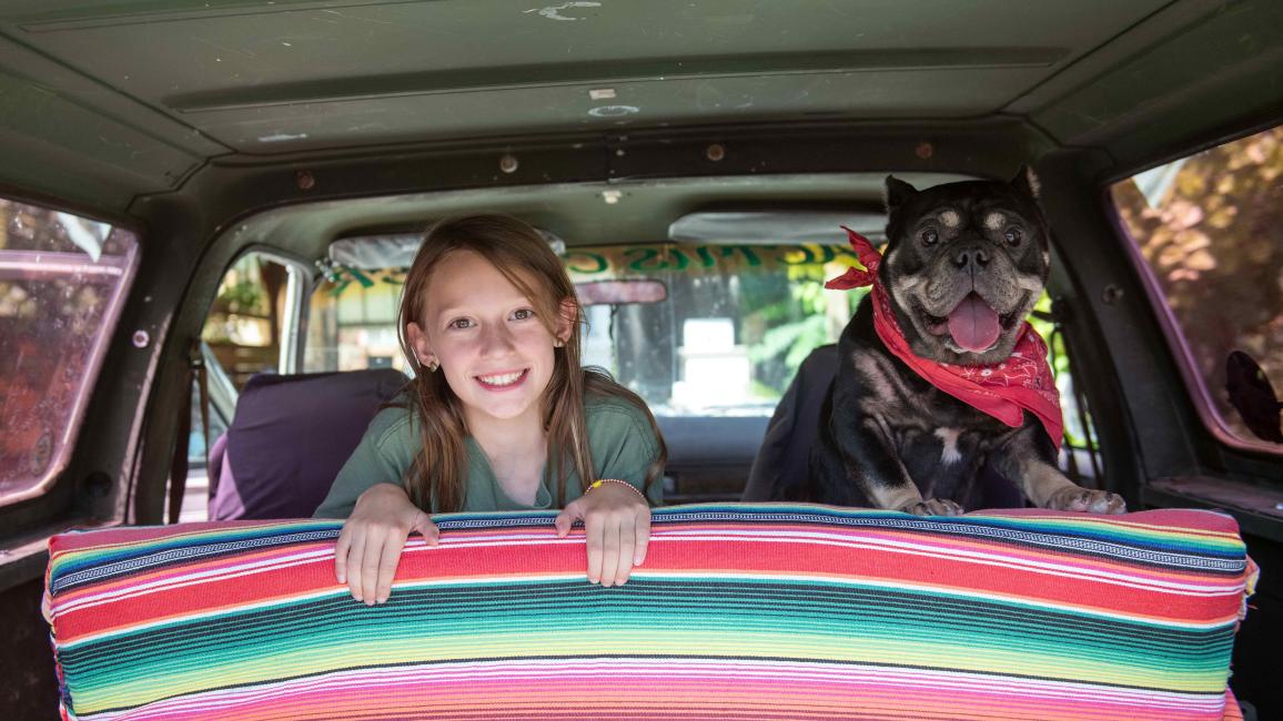 Child and dog looking over a brightly multicolored, striped blanket in the back of a vehicle