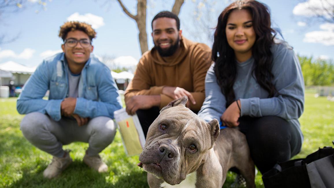 Family of three adopting a pit bull terrier with cropped ears
