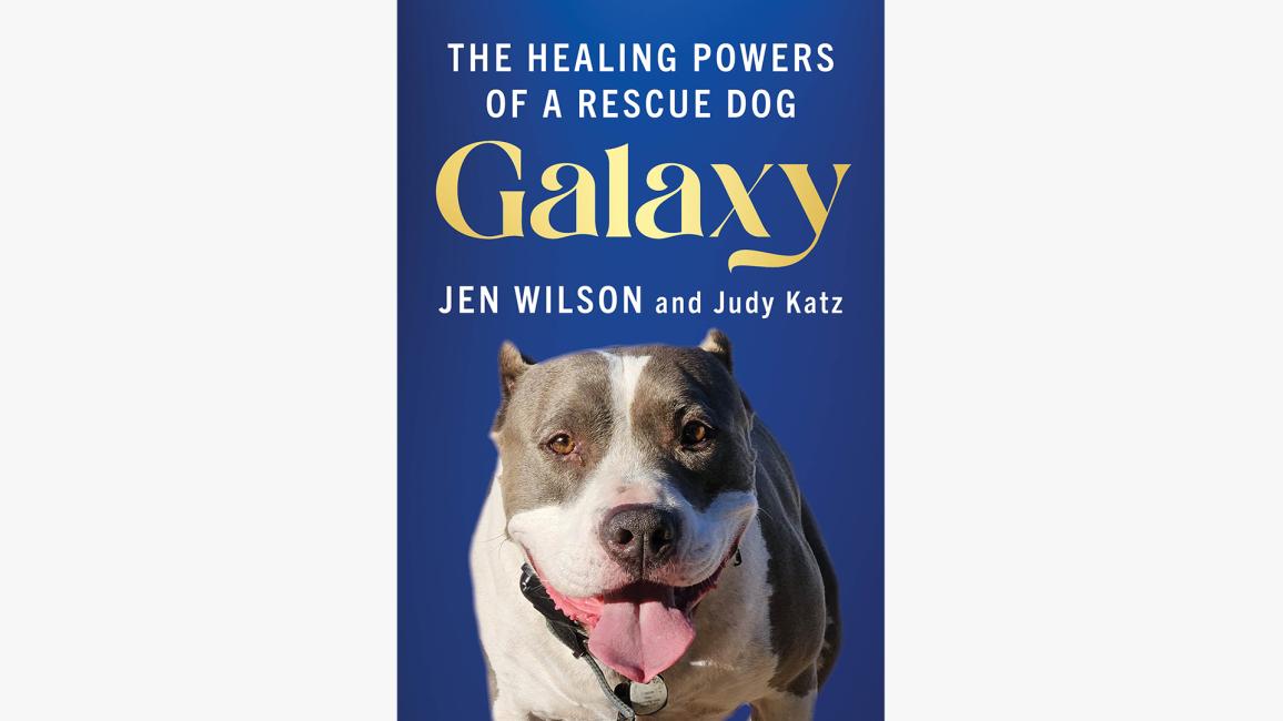 Cover of the book, 'Galaxy: The Healing Powers of a Rescue Dog'