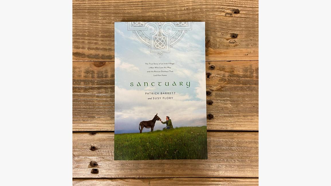 Cover of the book, 'Sanctuary'