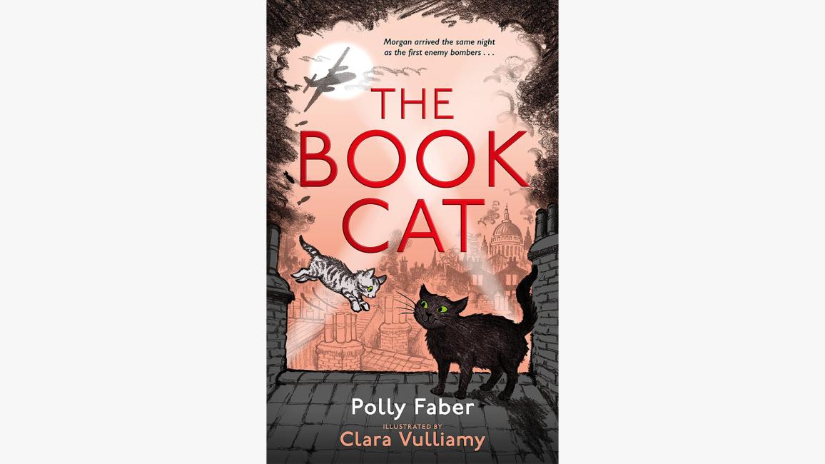 Cover of the book, 'The Book Cat'