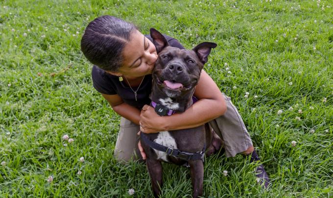 Person hugging a brown and white dog on green grass