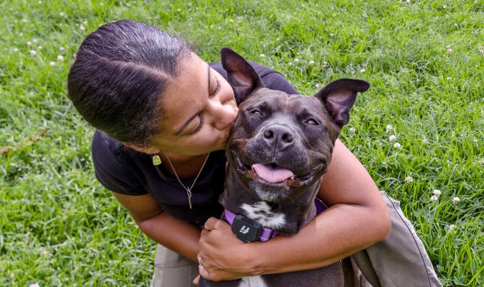 Person hugging a smiling pit-bull-type dog
