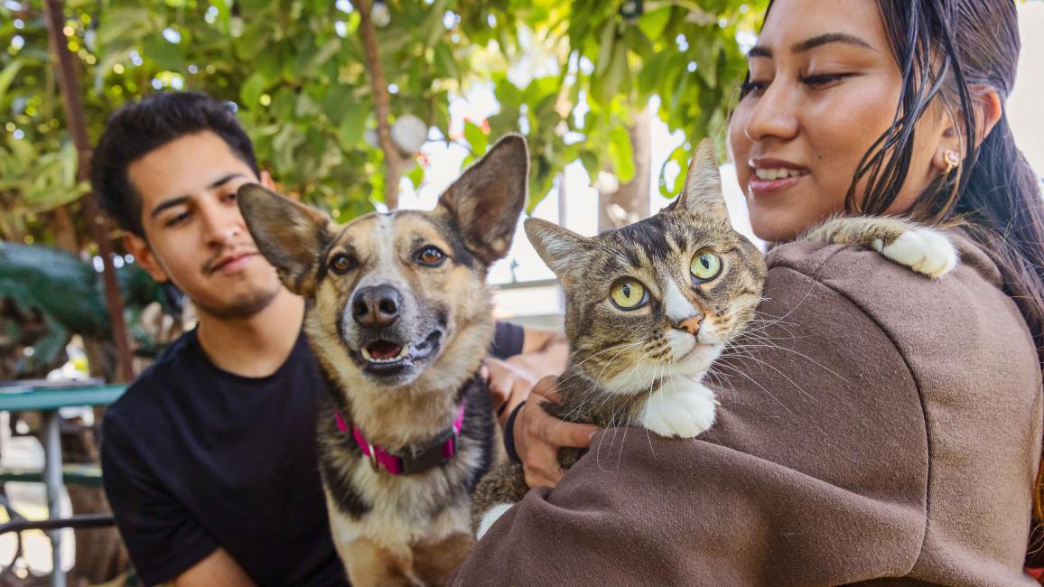 Two people, one holding a cat and one holding a dog