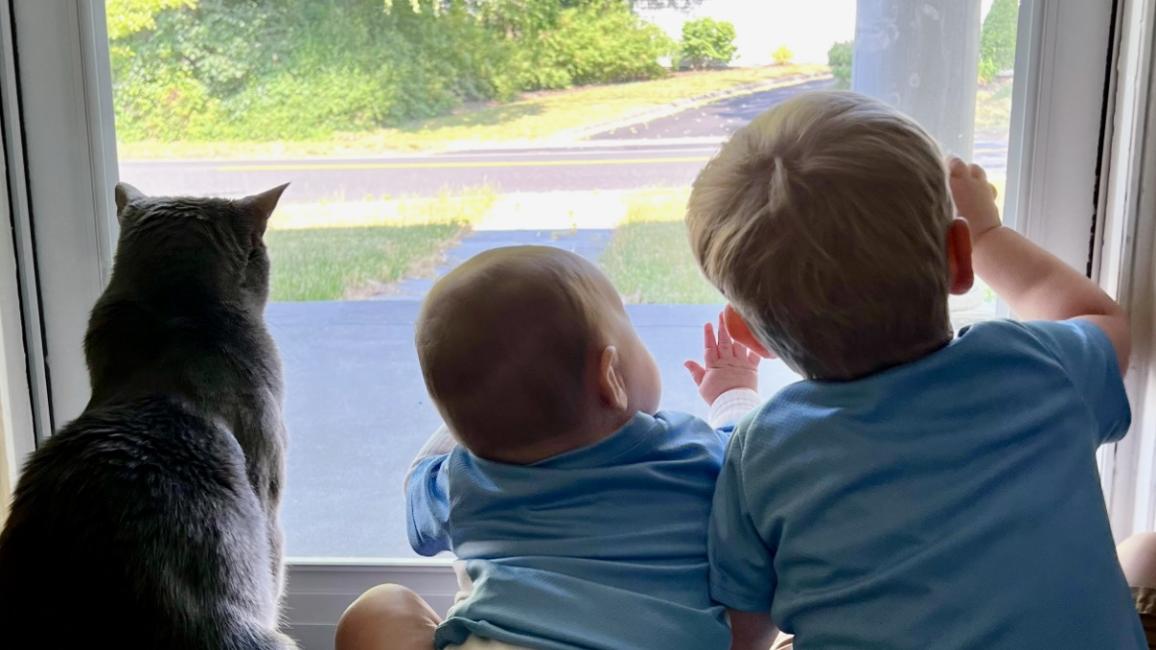Bruce the cat with Ollie and the baby