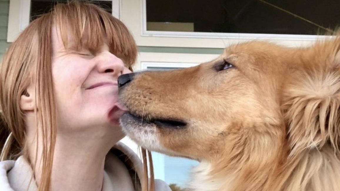 Friday the collie kissing Killeen's chin