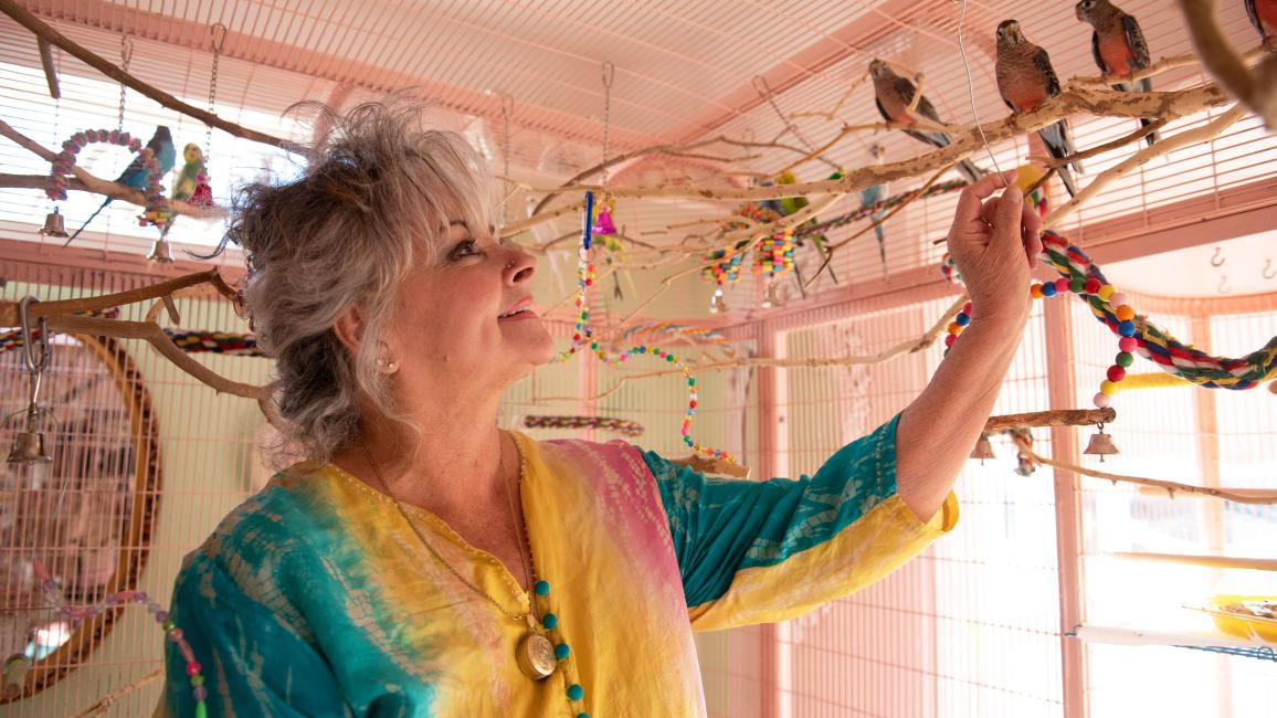 Debi Ford in her home with adopted budgies
