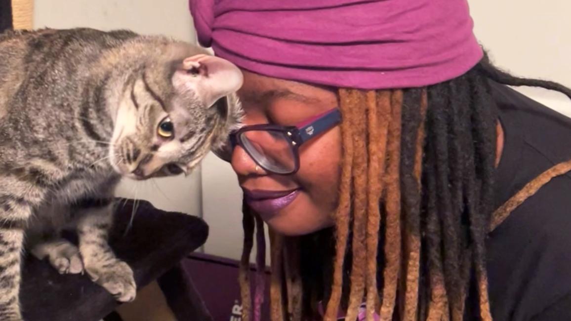 Monesia head bumping Autumn the gray tabby cat