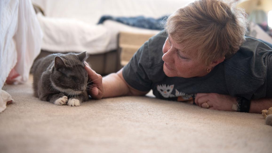 Person lying on the floor next to Gia the cat
