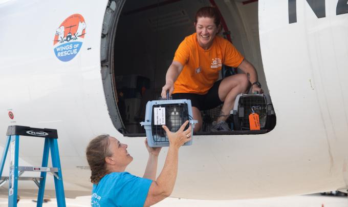 People unloading a cat in a carrier from a plane from a transport from Texas