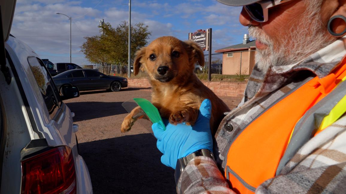 Chico the puppy being dropped off at the Best Friends mobile clinic