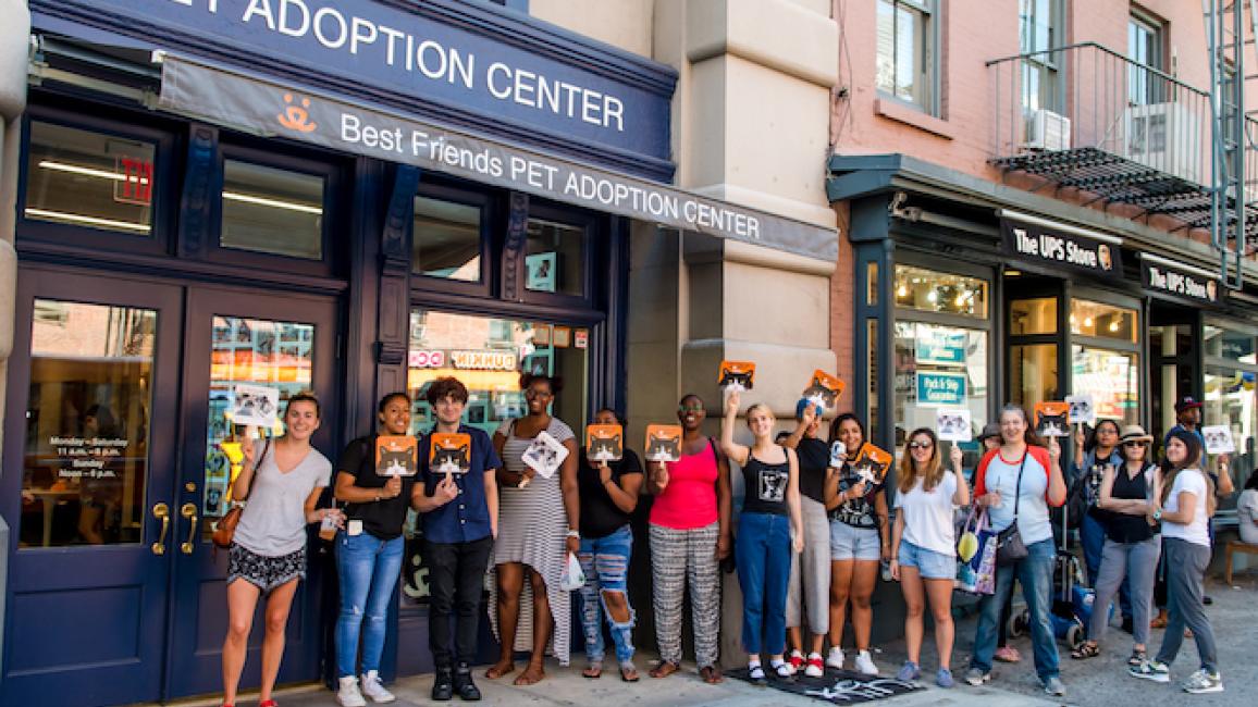 PAC line for Clear the Shelters